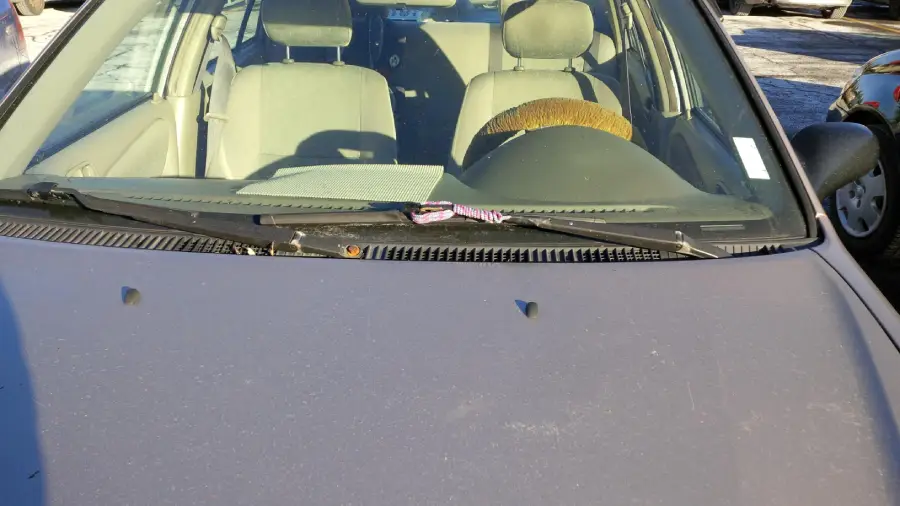 A car with a raccoon tail attached to the steering wheel is parked in sunlight. The windshield wipers are raised, and the car’s beige interior is visible.