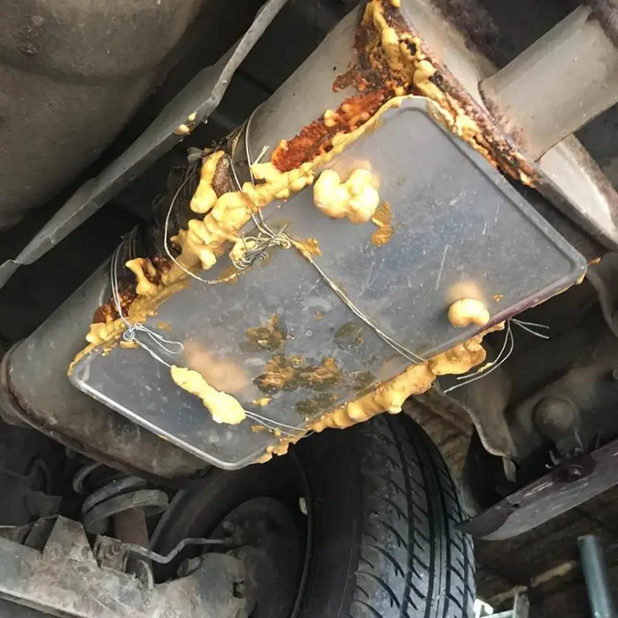 A plastic food container, secured with wires and yellowish sealant, is attached to the underside of a car near the exhaust system, suggesting an improvised repair.