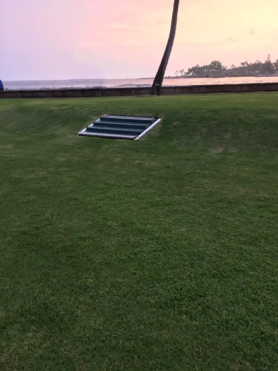 A set of stairs appears to lead into the grassy hill, with a palm tree, ocean, and sunset in the background.