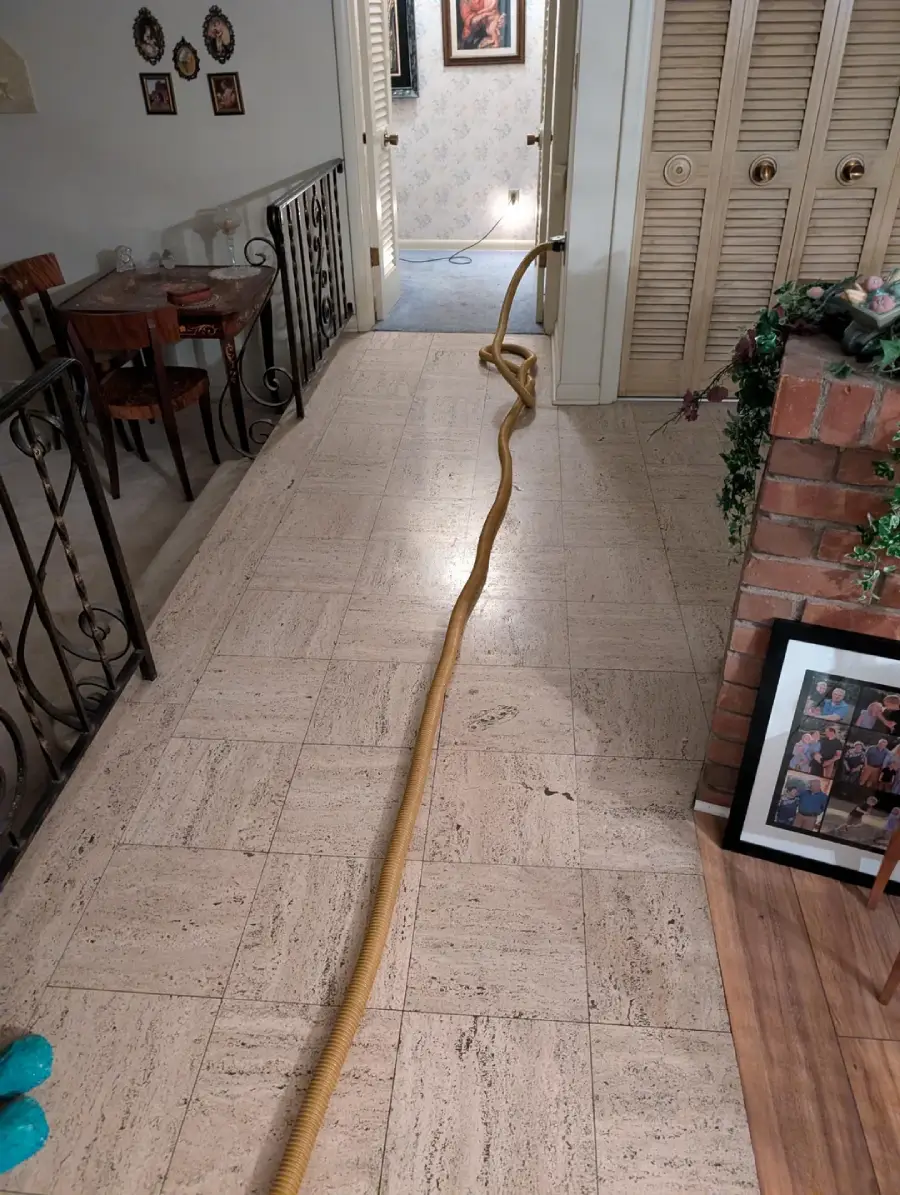 A long yellow hose stretches across a tiled hallway, passing a dining area and leading into another room. Framed photos and a green plant decorate the space.