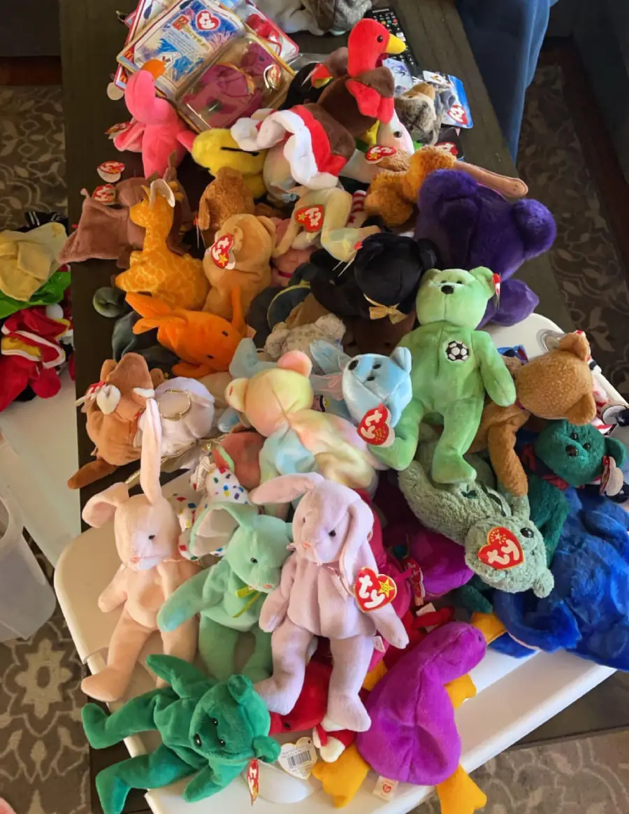 A large collection of colorful Beanie Babies, including bears, bunnies, and other animals, is spread out on a table and a chair, all with visible TY tags.