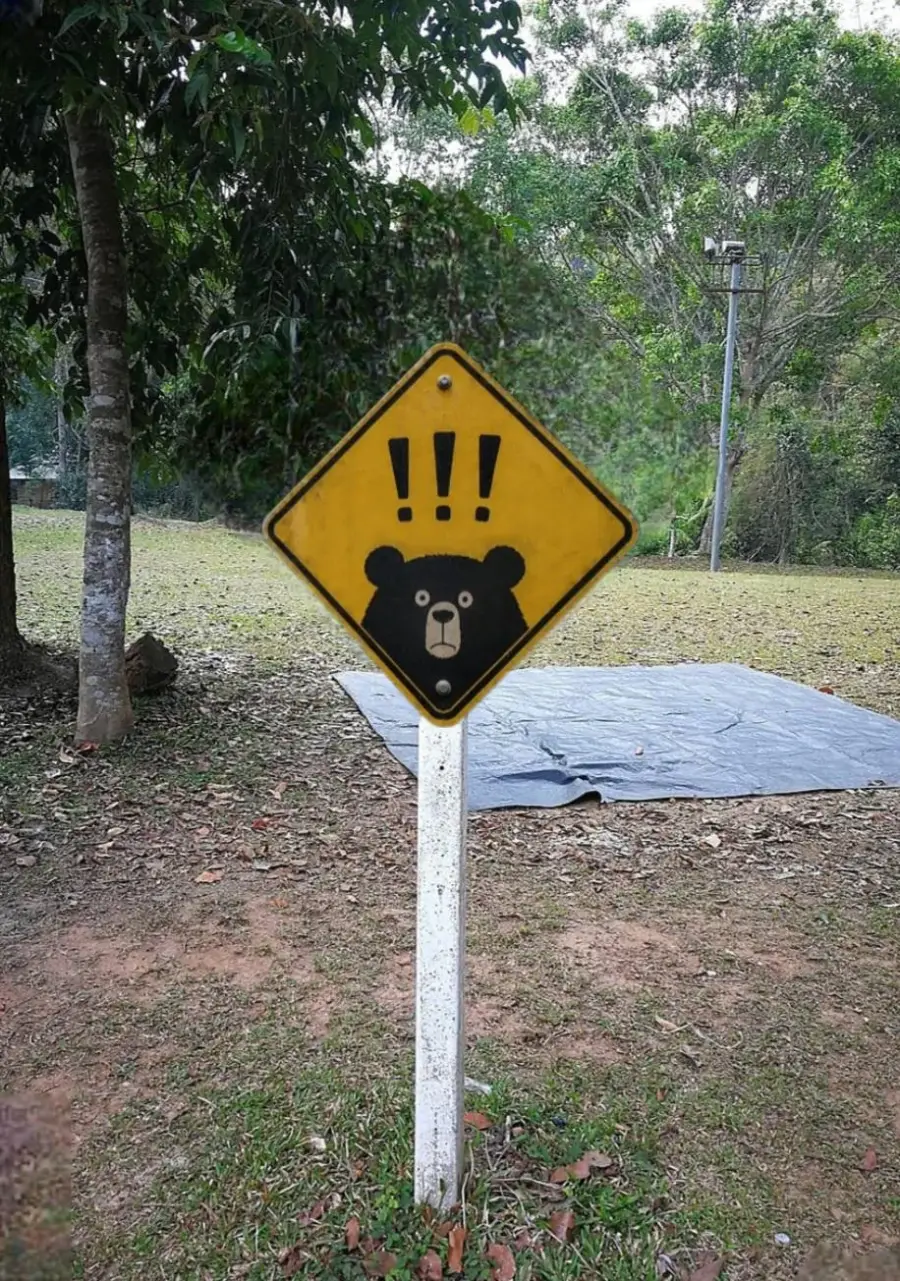 Yellow warning sign with a cartoon bear and three exclamation marks above its head, posted on a white pole in a grassy outdoor area with trees in the background.