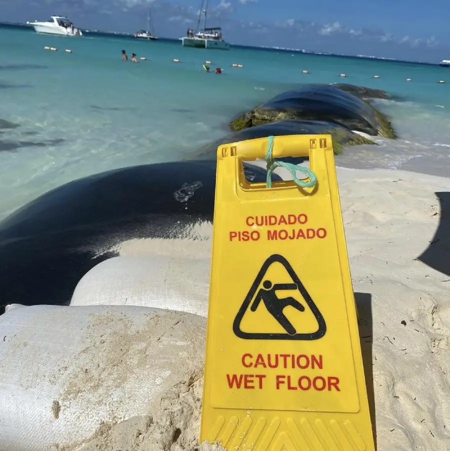 A yellow “Caution Wet Floor” sign stands on a sandy beach near the water, with boats and people swimming in the background. A large, dark object lies beside the sign on the sand.