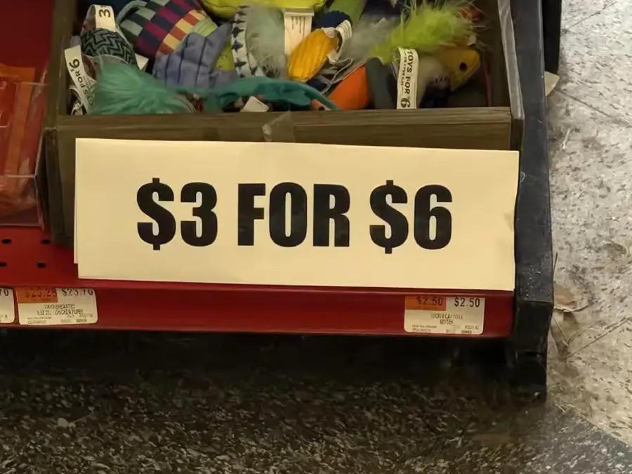 A store shelf displays a sign reading “$3 FOR $6” in bold black letters, with various colorful pet toys in a box above it. The sign appears to contain a pricing error.
