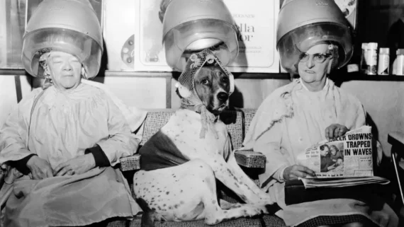 vintage-photos-mid-century-beauty-salons