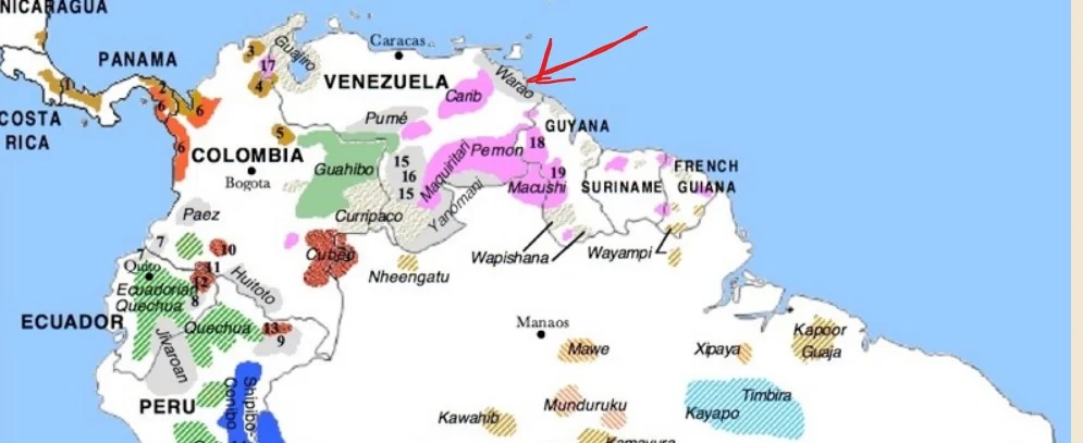 Map of northern South America showing indigenous language regions in various colors. A red arrow points to a pink-colored area in eastern Venezuela and western Guyana, labeled “Carib.”