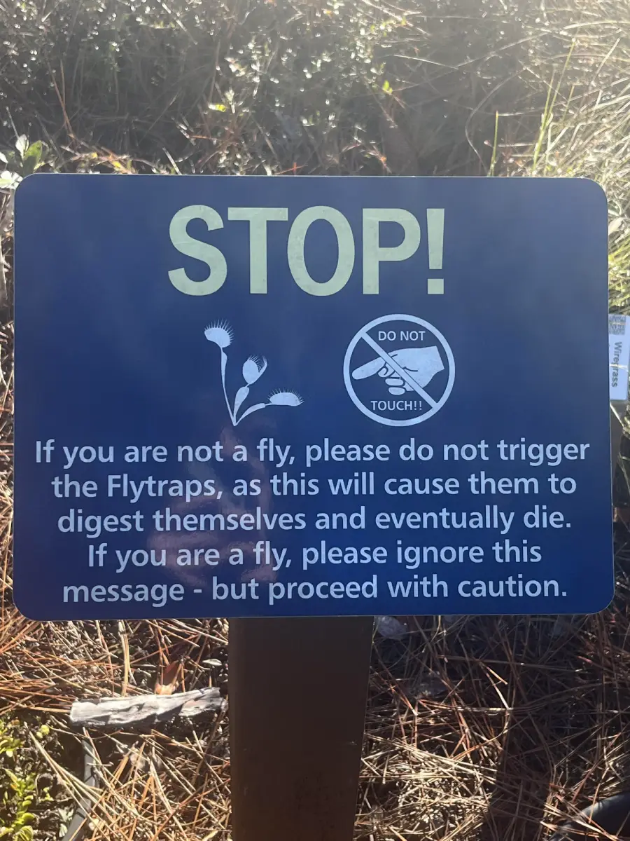 A sign warns not to touch flytraps, as triggering them causes harm or death to the plants. It humorously tells flies to ignore the message but proceed with caution.