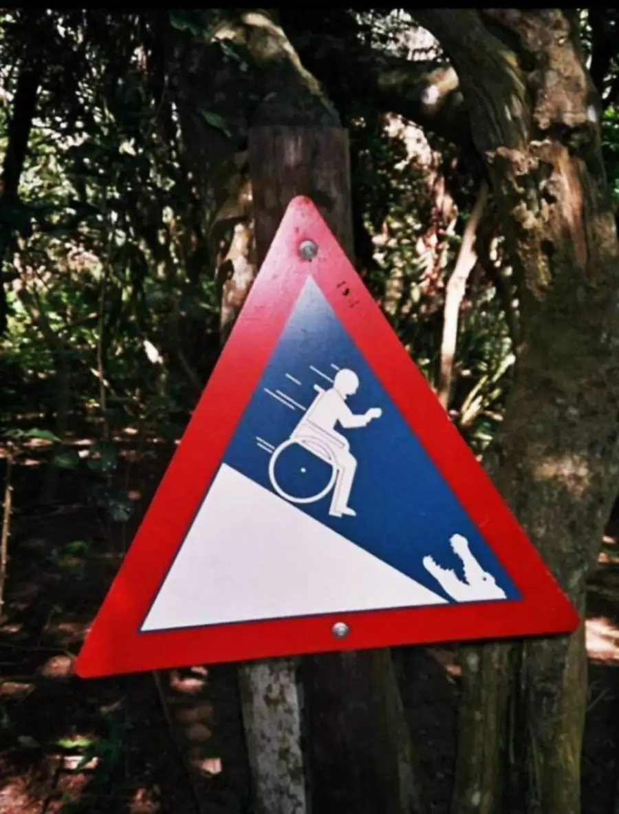 A triangular sign shows a person in a wheelchair rolling down a steep slope towards an alligator, warning of potential danger ahead.