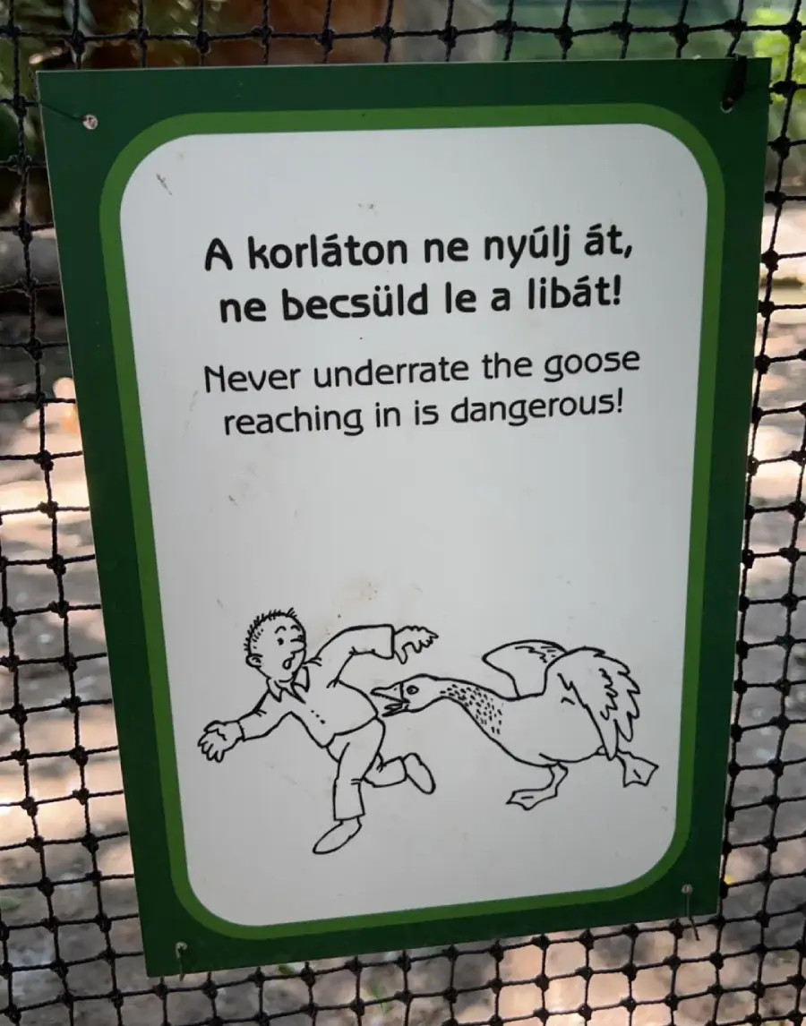 A warning sign shows a goose biting a person’s arm with the text: “Never underrate the goose, reaching in is dangerous!” and a Hungarian translation above.