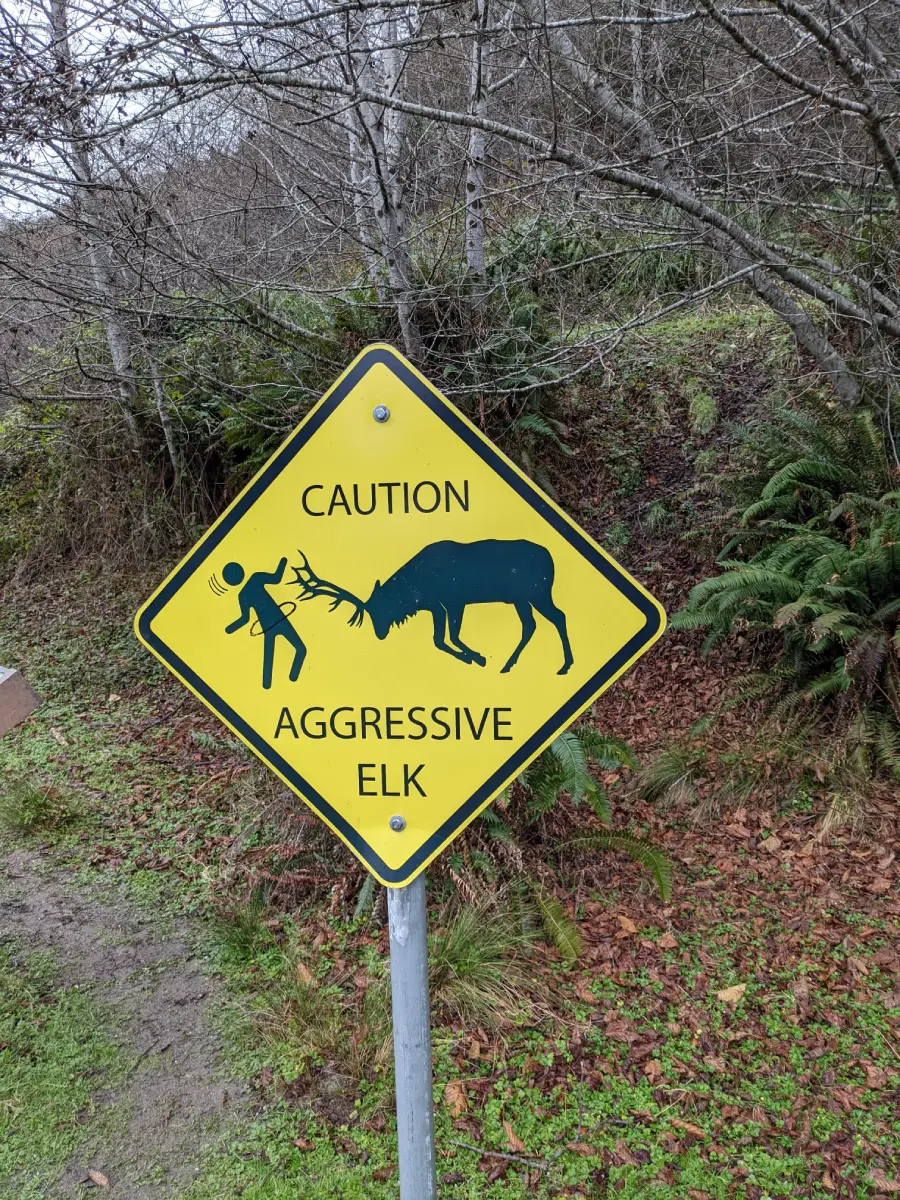 Yellow caution sign shows an elk charging at a person with “CAUTION AGGRESSIVE ELK” written below; background features trees and grass.