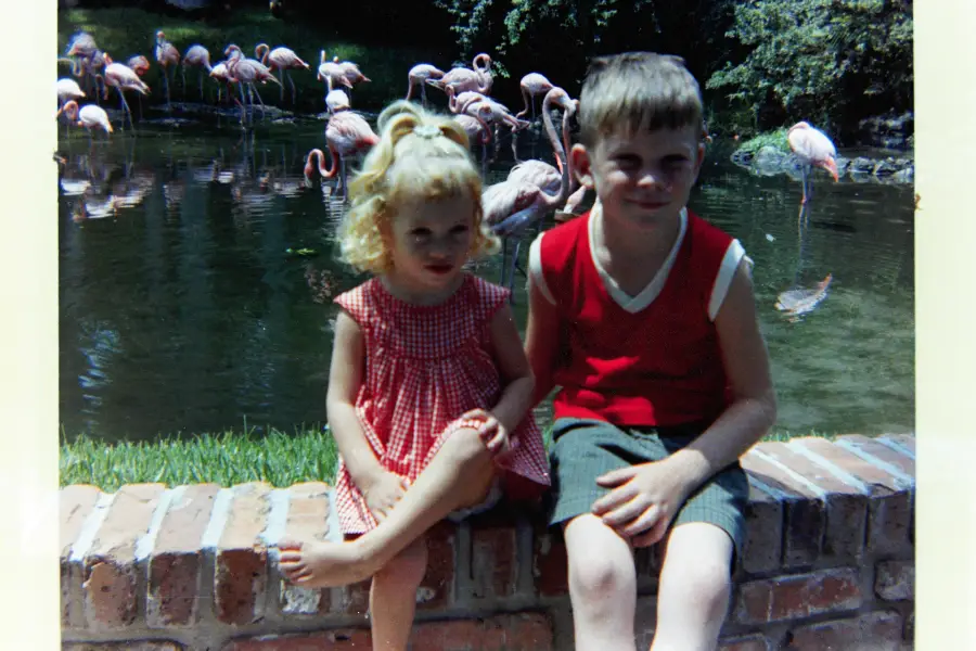 Two young children sit on a brick ledge in front of a pond with flamingos. The girl wears a red dress and is barefoot, while the boy wears a red sleeveless shirt and shorts. Trees and water fill the background.