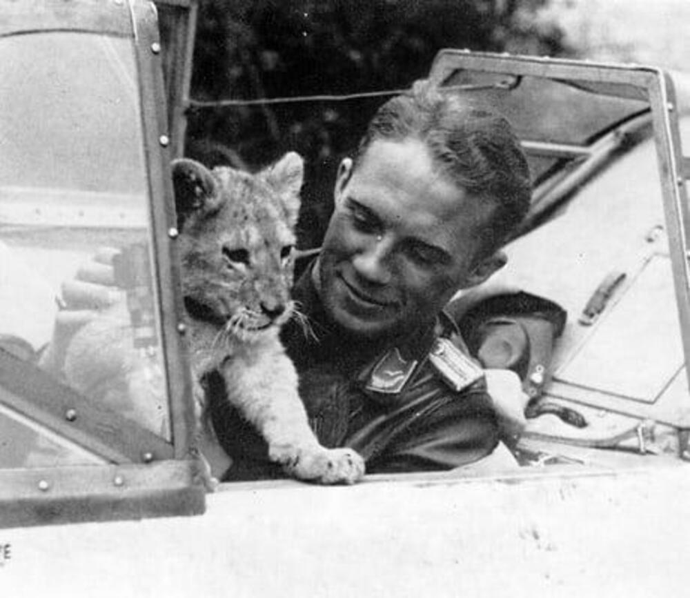A pilot in an aircraft cockpit smiling while holding a lion cub.