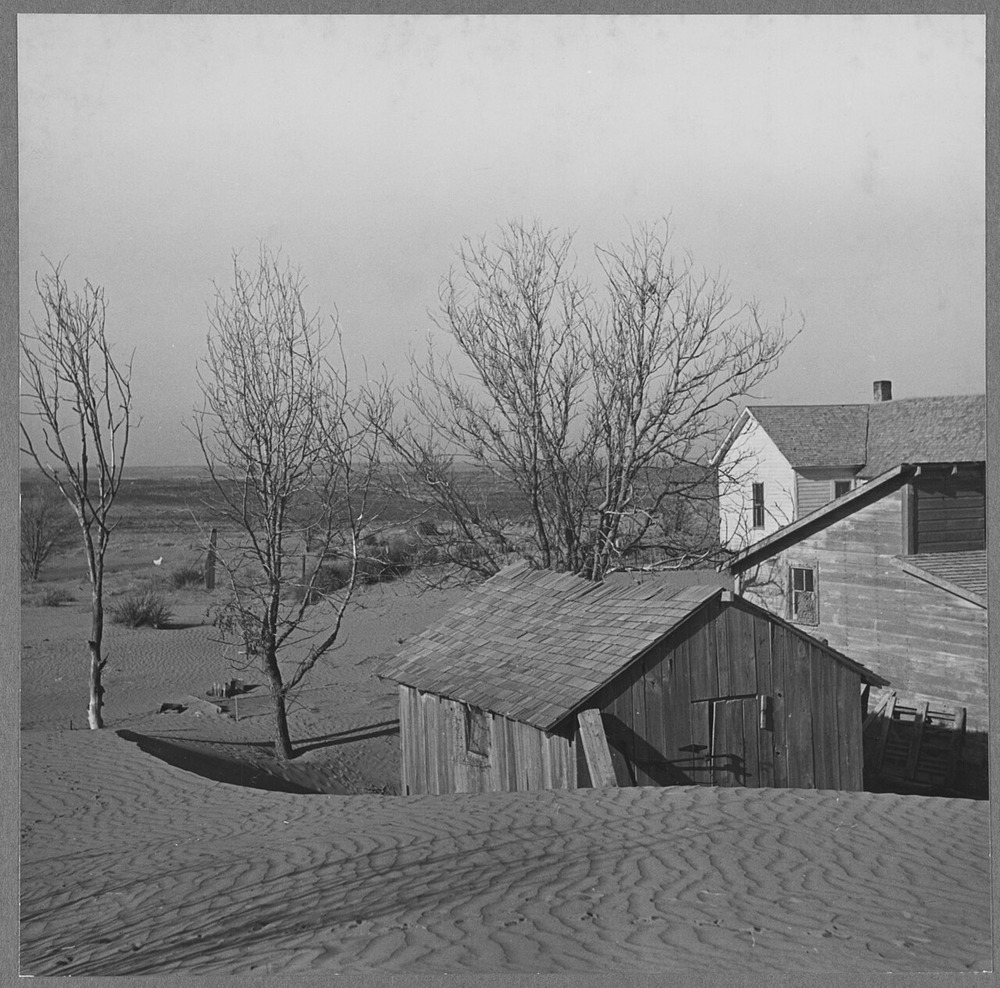 Small wooden buildings partially buried by sand dunes, with bare trees nearby.