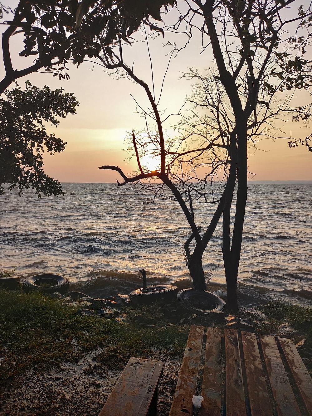 Sunset over a wavy body of water, framed by bare trees, with discarded tires resting on the shoreline near a wooden bench.