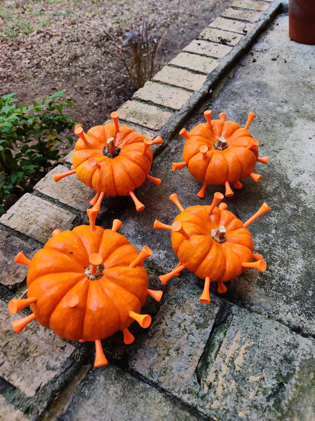 Four small pumpkins decorated with orange golf tees to resemble viruses, sitting on a brick patio.