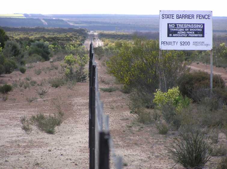A long, straight fence stretches into the distance, next to a sign that reads “State Barrier Fence: No trespassing, travelling or shooting along fence is absolutely prohibited. Penalty $200.”