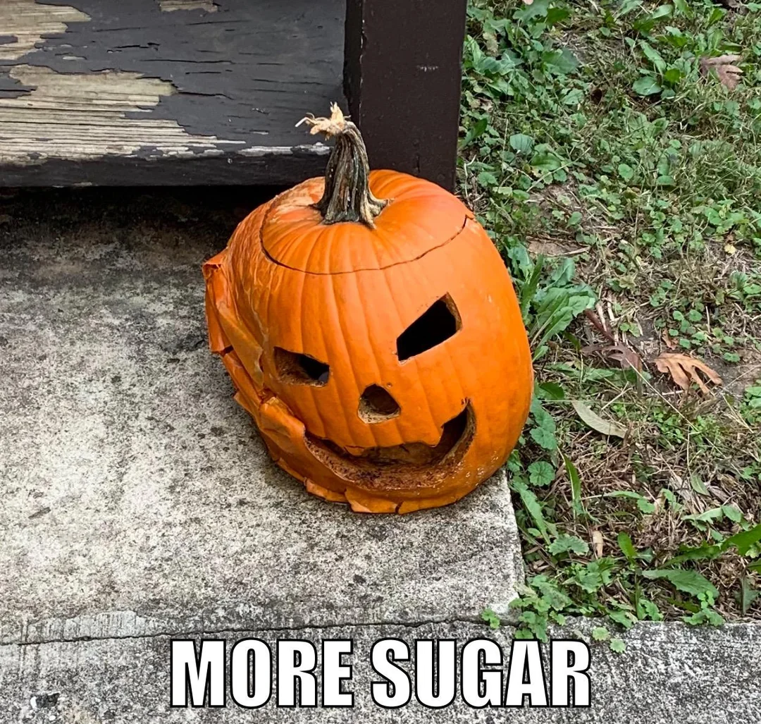 A shriveled, carved jack-o’-lantern sits on a concrete step with the text “MORE SUGAR” below it.