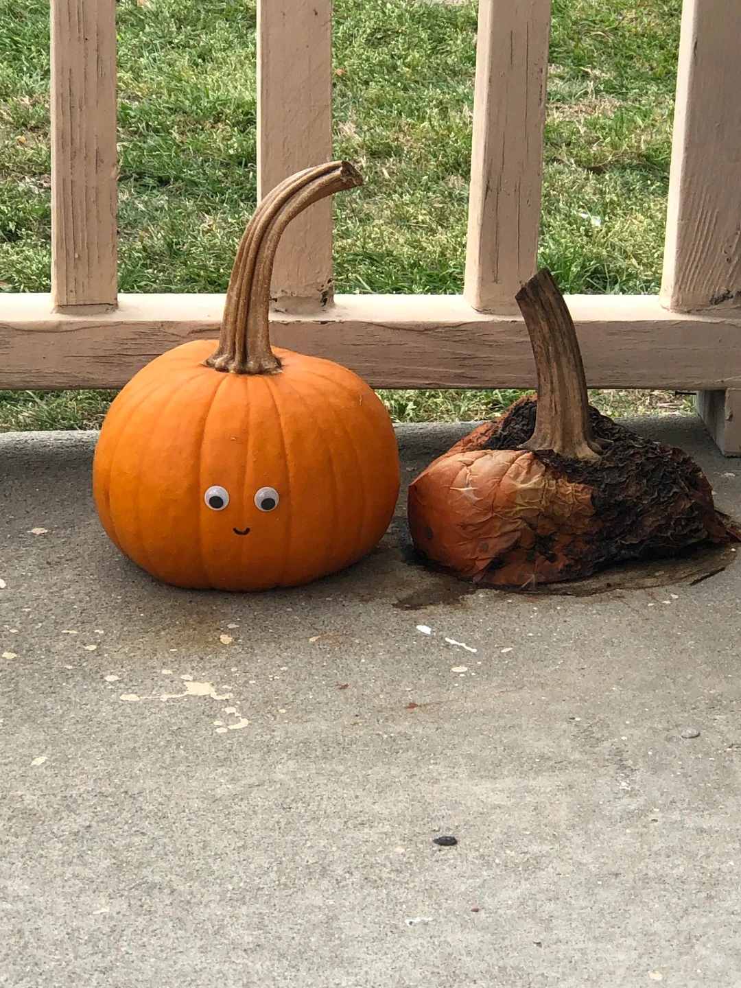 A fresh, googly-eyed pumpkin sits next to a collapsed, rotting pumpkin on a porch.