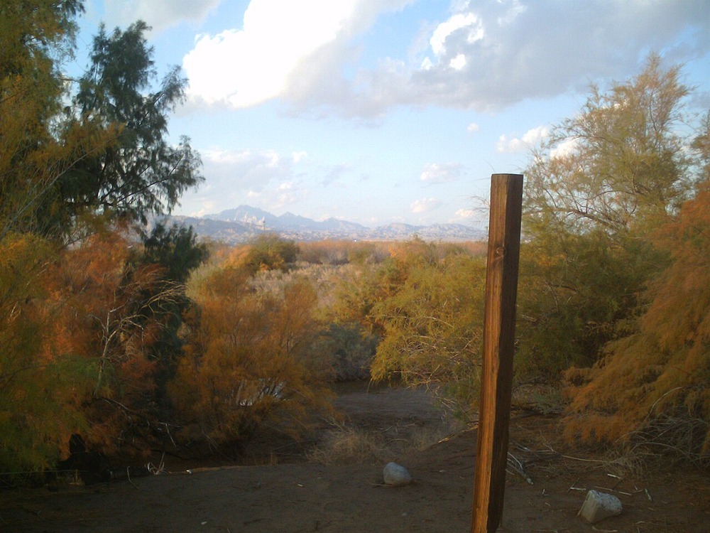 A wooden post stands in the foreground of a landscape filled with shrubs and trees, looking out toward distant mountains under a cloudy sky.