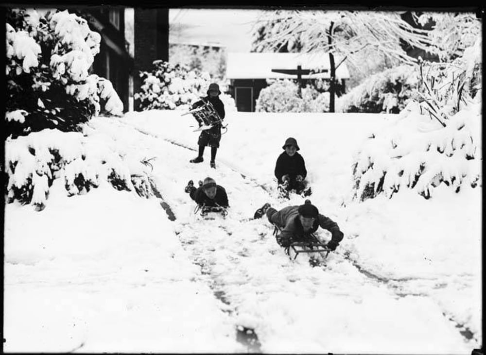 Three children sledding down a snow-covered hill while a fourth child walks up carrying a sled.