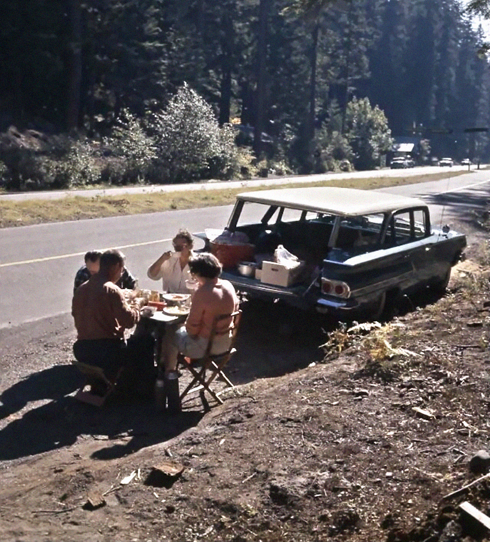 A family eats a picnic meal at a folding table set up next to their station wagon parked on the shoulder of a forest road.