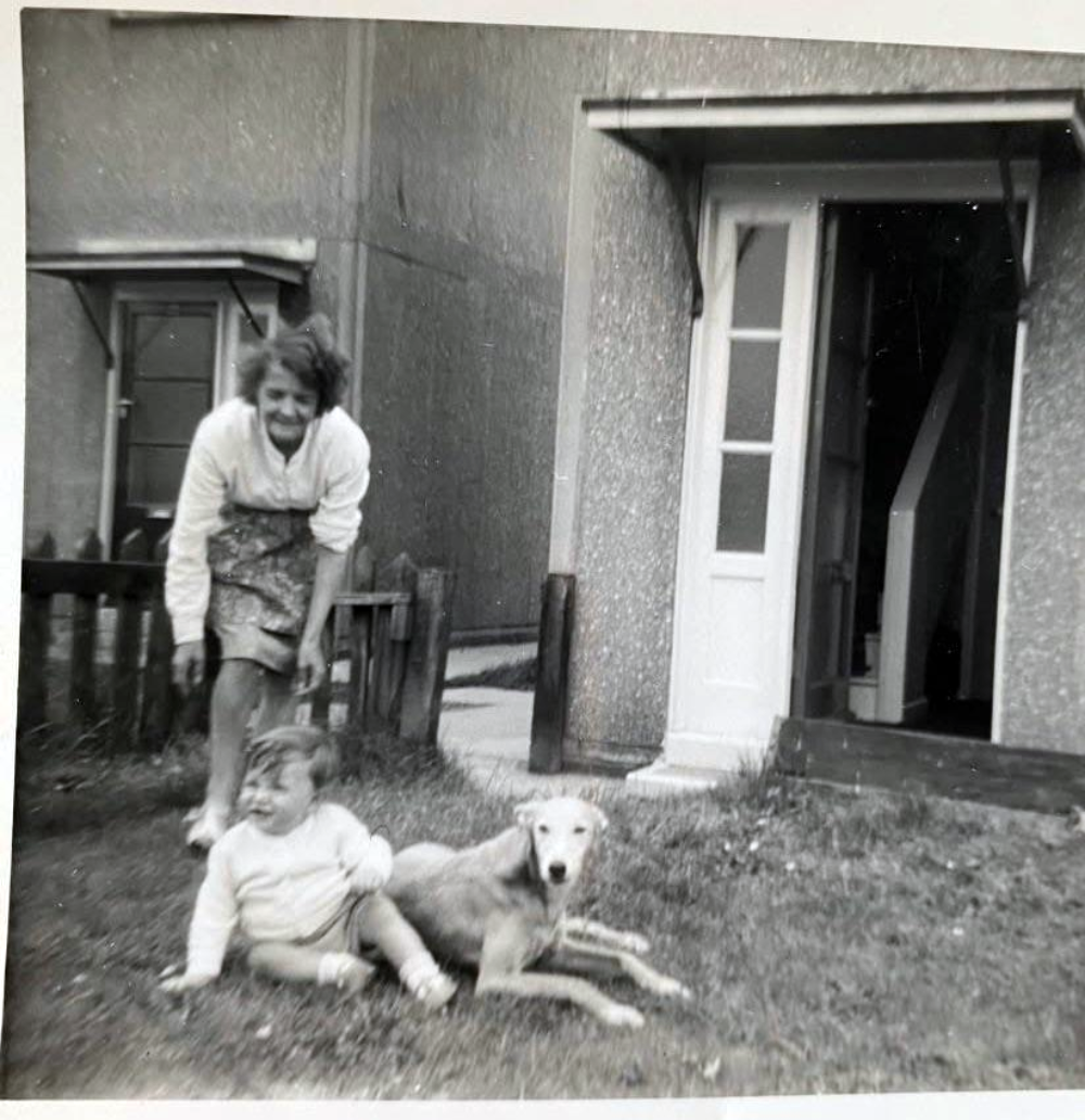 A woman stands behind a young child sitting on the grass next to a dog in front of two houses.