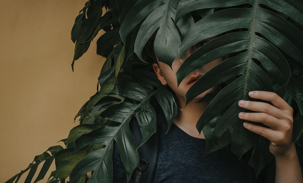 A person partially hidden behind large green monstera leaves, holding one leaf aside, with only part of their face visible. The background is a mustard yellow wall.