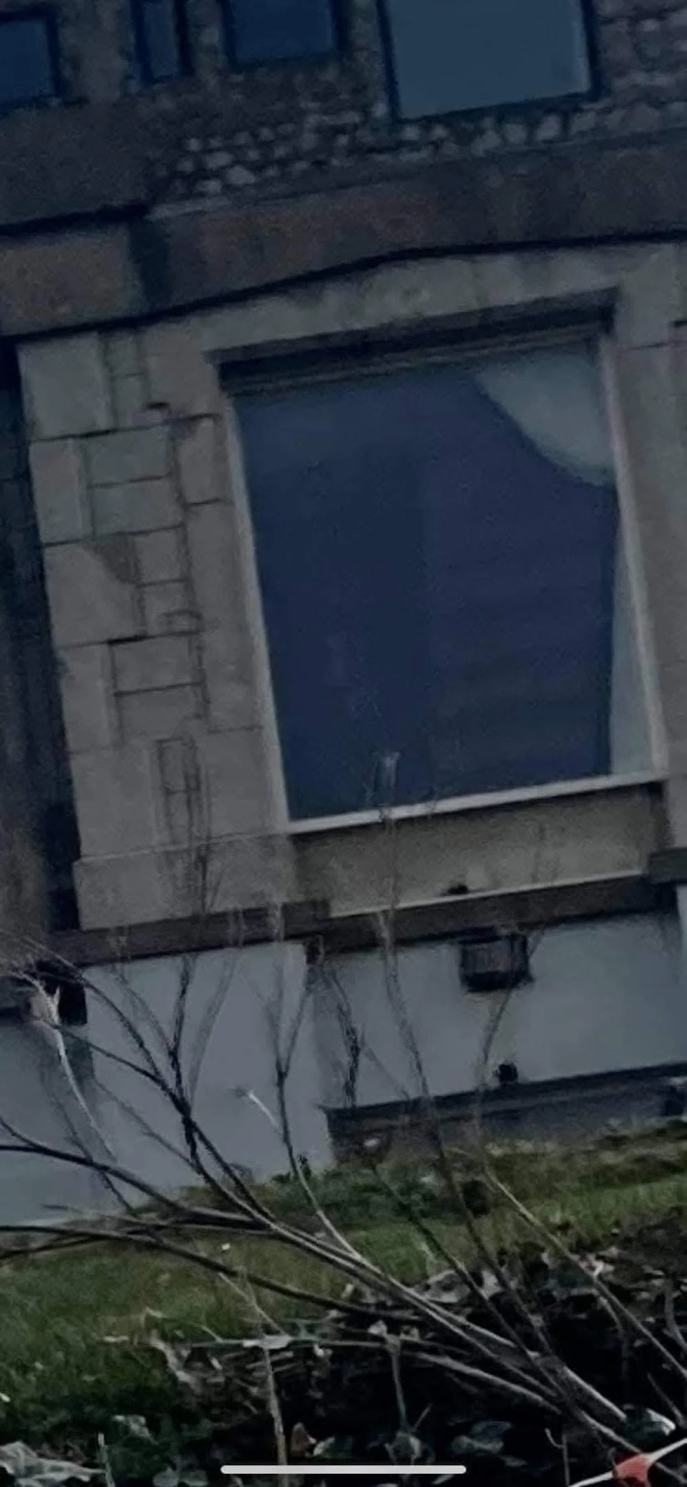 A large, square window on the stone facade of a building above bare tree branches.