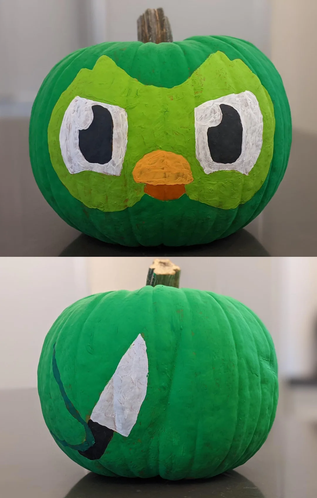 A pumpkin painted green to resemble the Duolingo owl mascot, with the front showing its face and the back showing a painted knife.