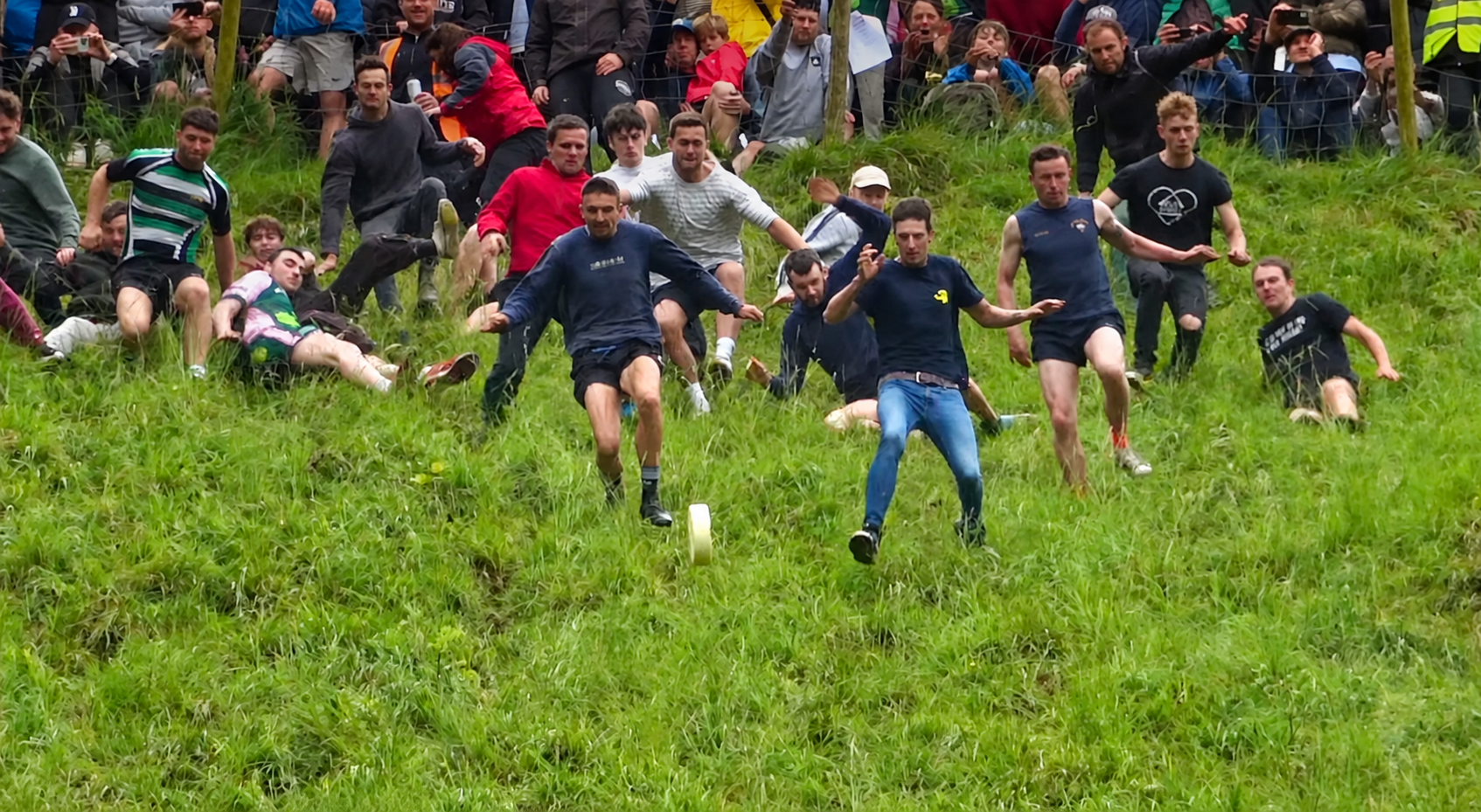 A group of people running down a grassy hill after a rolling wheel of cheese.