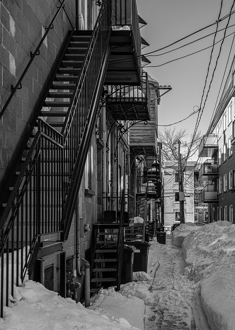 Black and white view of a narrow alleyway between residential buildings, featuring external metal staircases and deep snow on the ground.