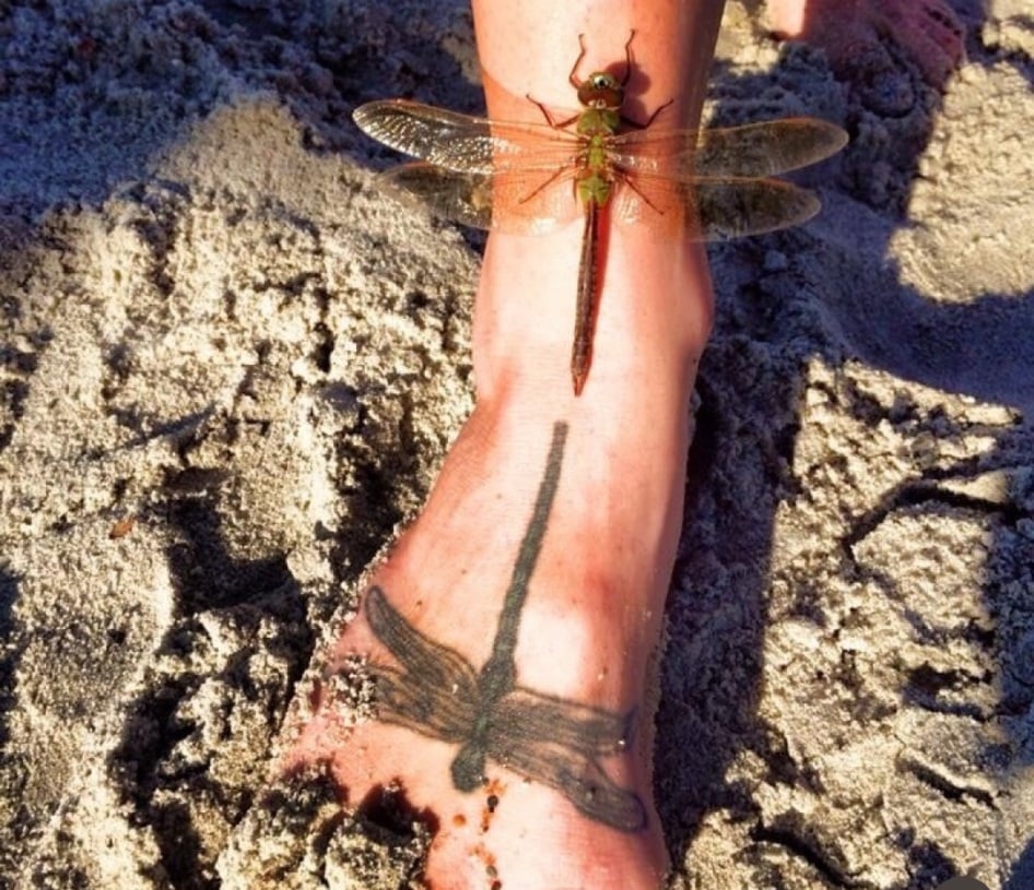 A live dragonfly lands on a person’s ankle directly above a dragonfly tattoo on their foot.