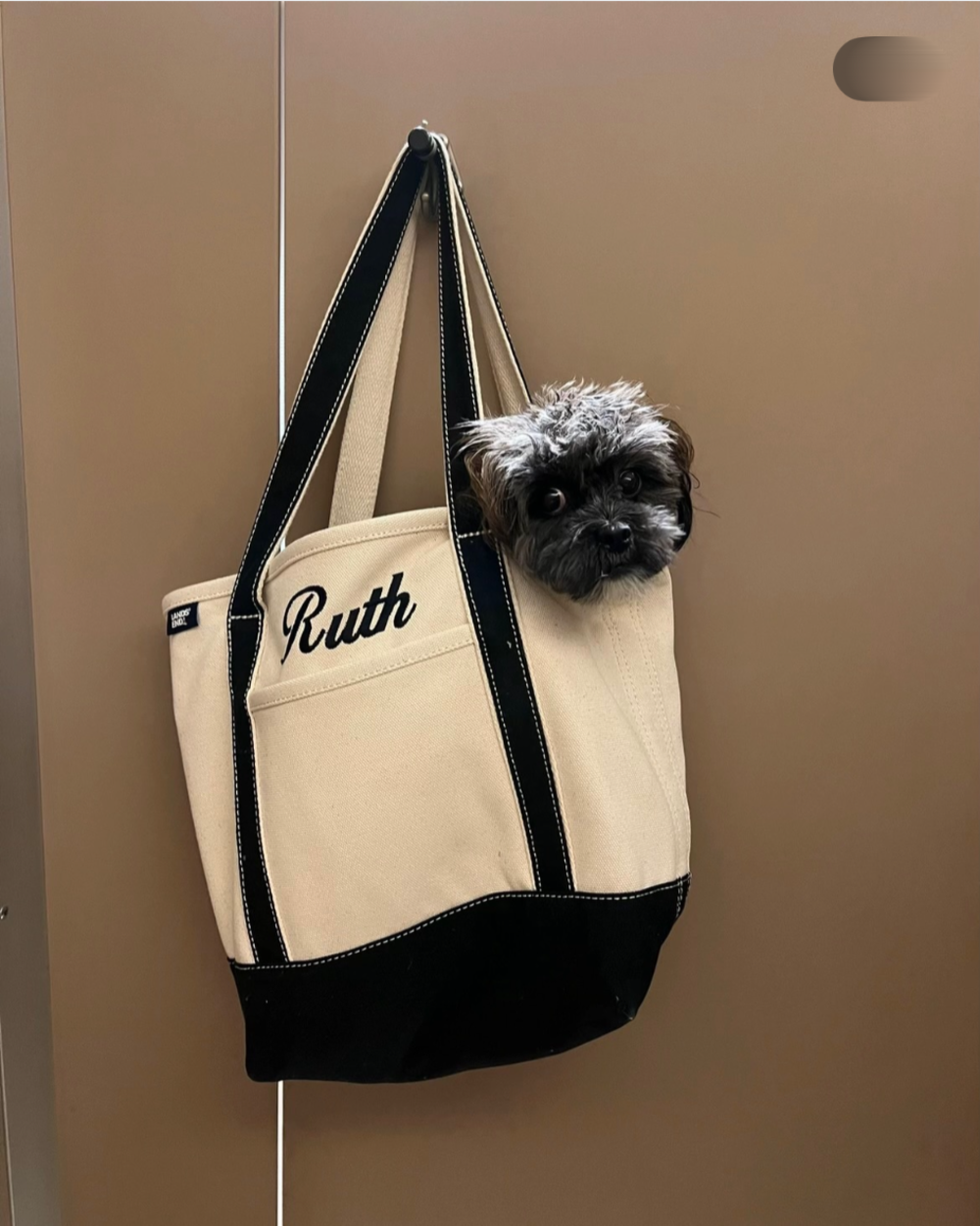 A small, dark, scruffy dog peers out from a beige and black canvas tote bag embroidered with the name “Ruth,” which is hanging from a hook on a brown door.