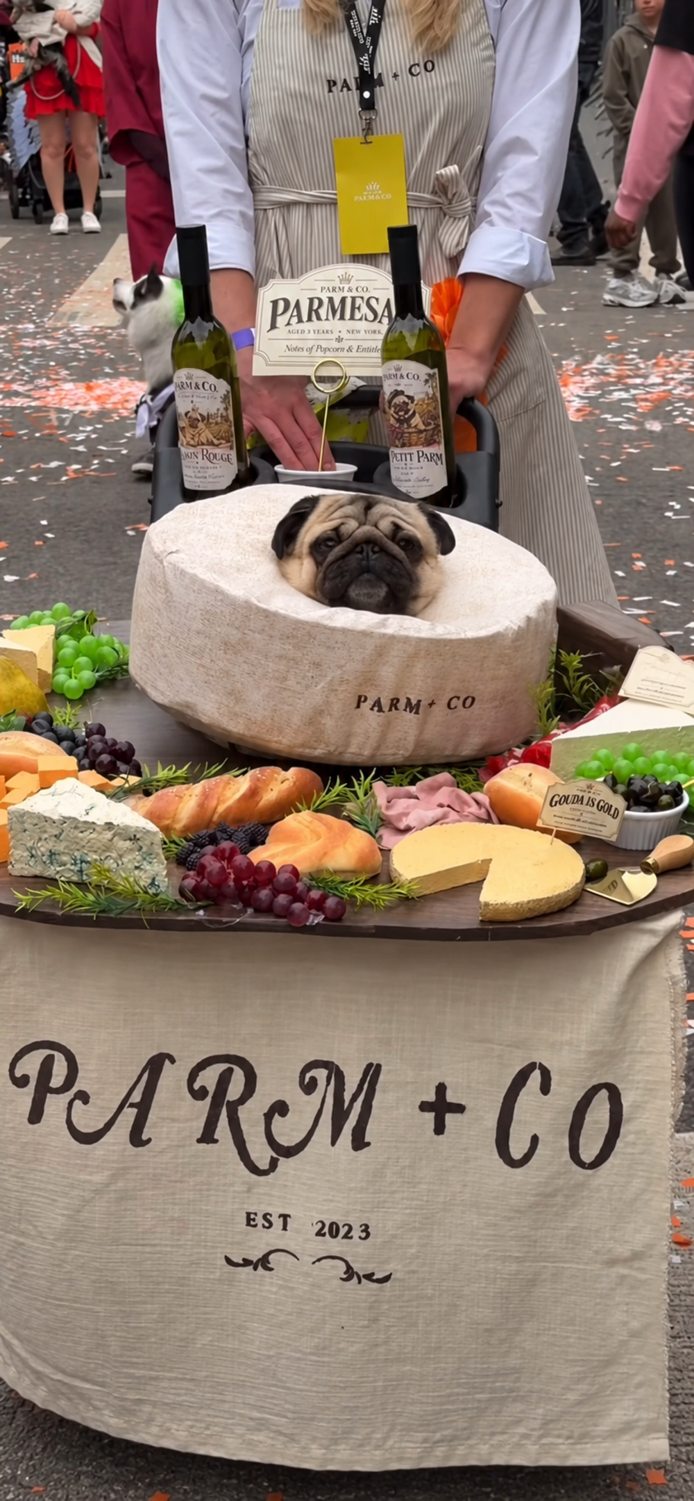 A pug’s head rests inside a large wheel of cheese on a display table surrounded by bread, grapes, and various cheeses, with a Parm + Co attendant standing behind it.
