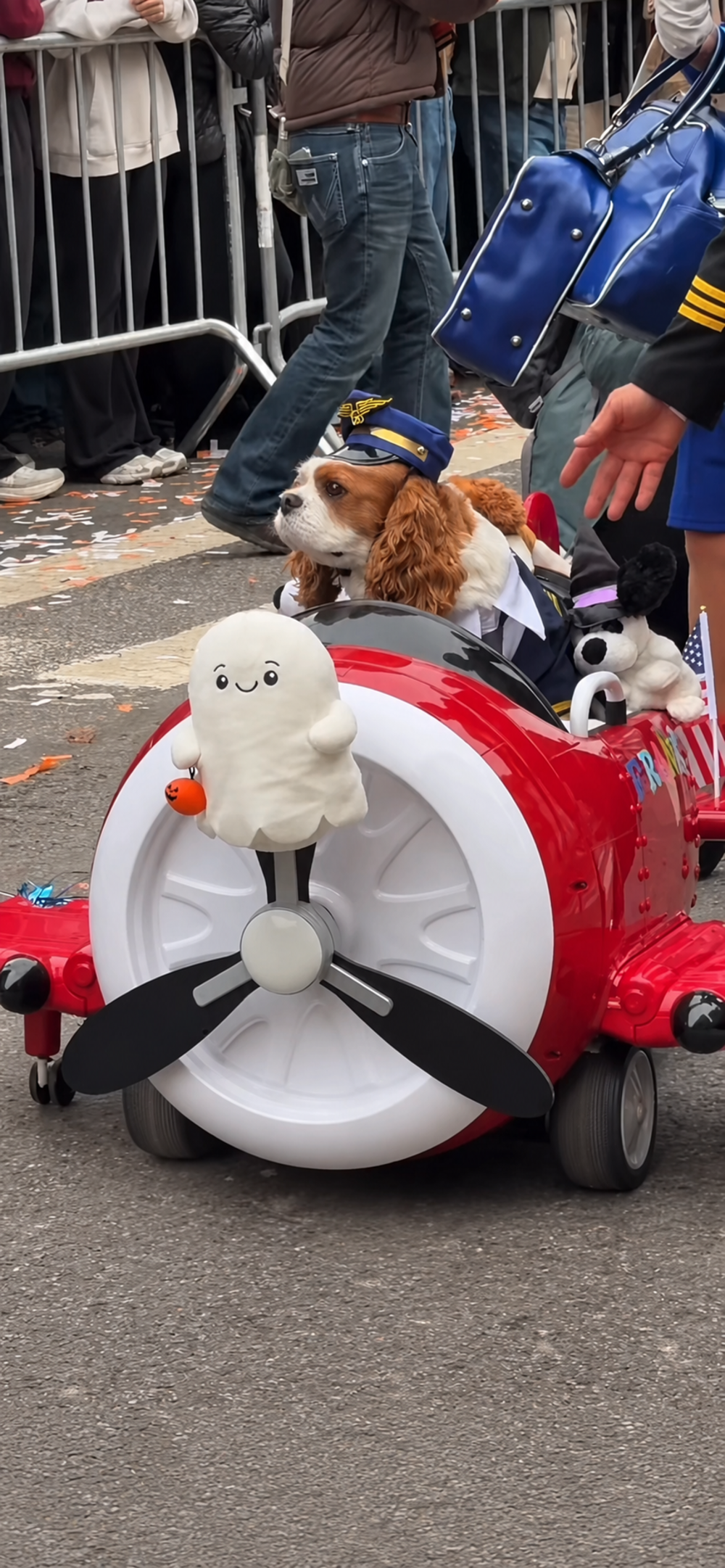 A Cavalier King Charles Spaniel wearing a pilot cap sits inside a toy airplane decorated with a plush ghost.
