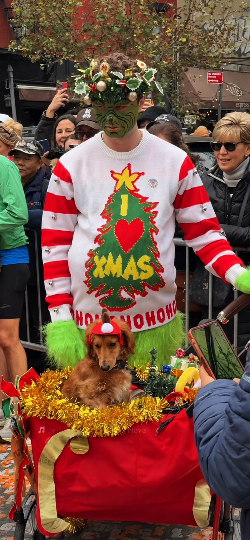 A person wearing Grinch face paint and an “I heart Xmas” sweater stands behind a red wagon holding a long-haired dachshund wearing a Santa hat.