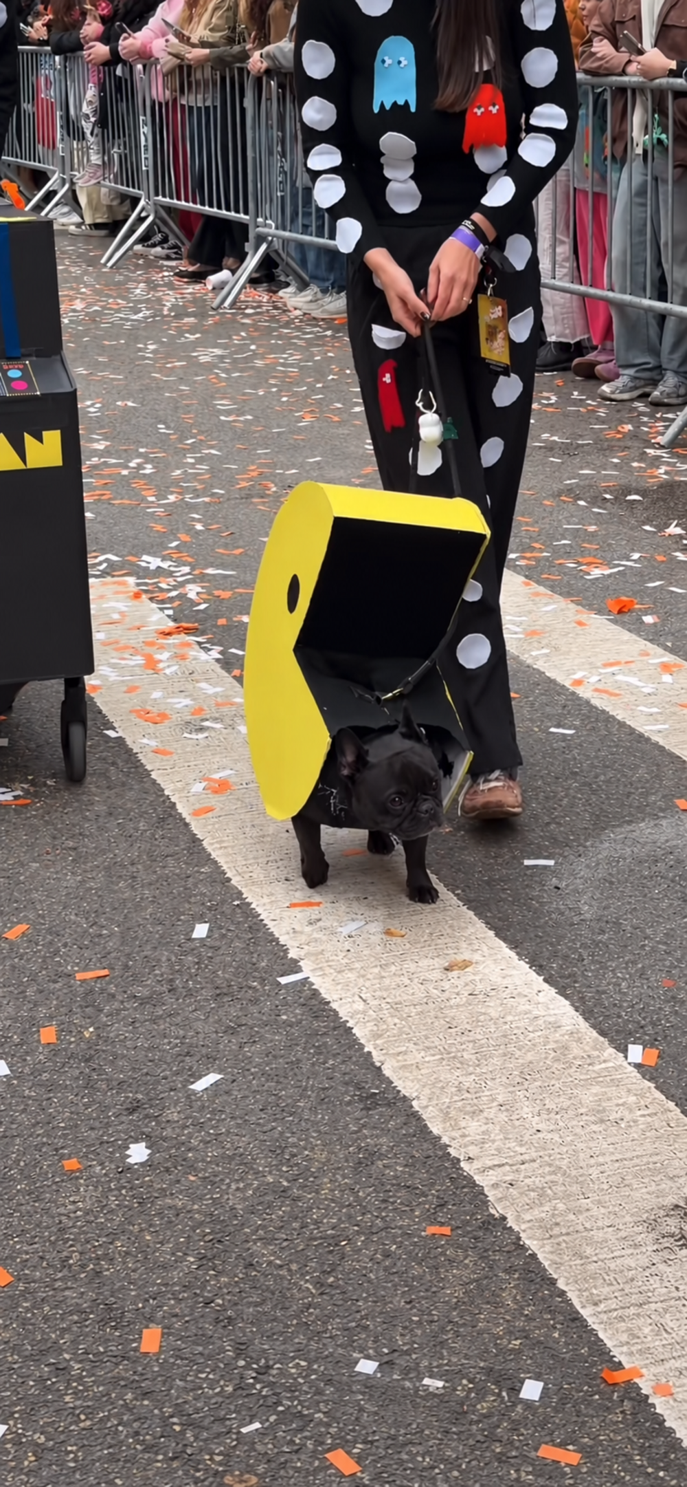A small black dog wearing a yellow Pac-Man costume walks on a street covered in confetti next to a person in a Pac-Man-themed outfit.