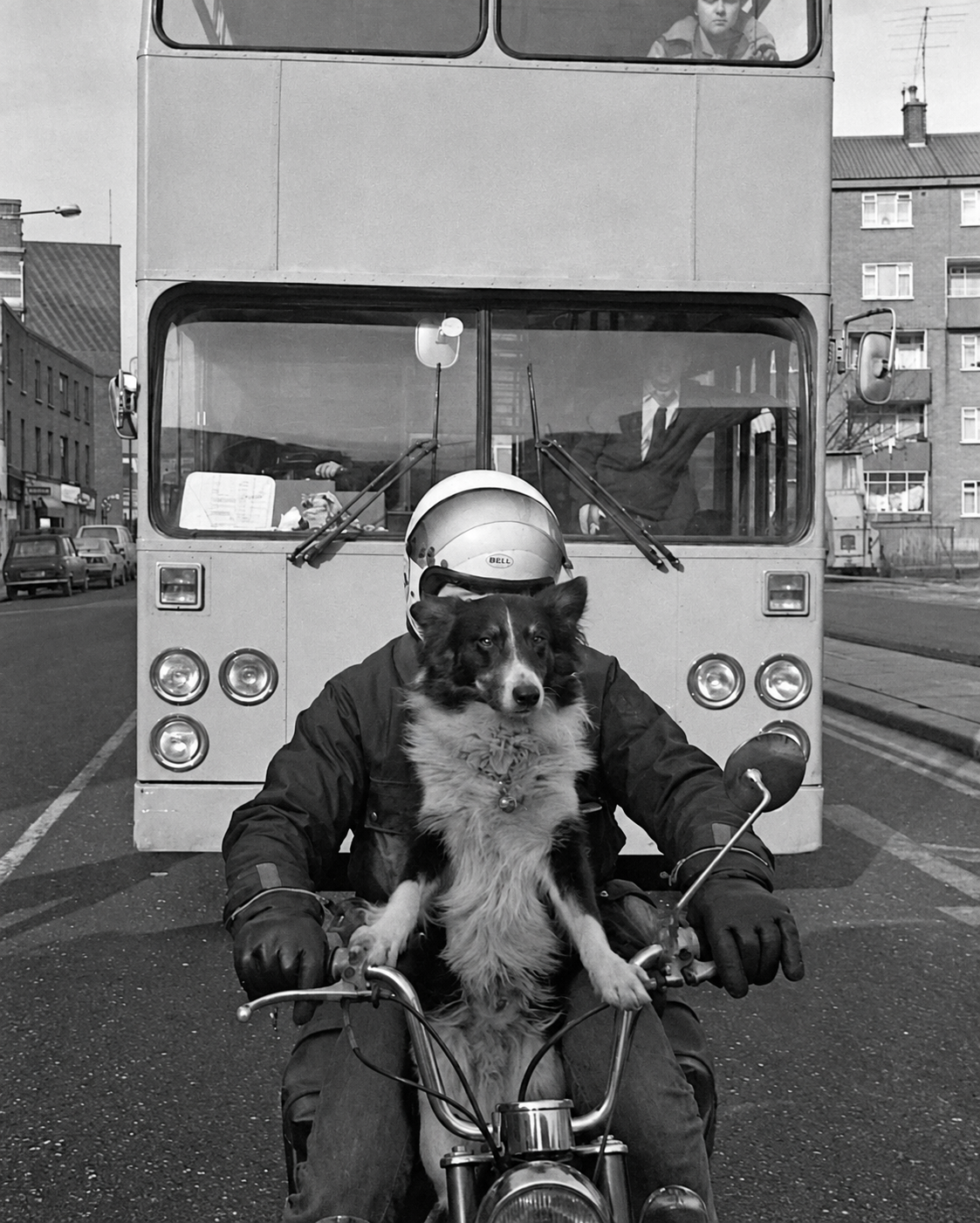 A person wearing a helmet and leather jacket rides a motorcycle with a medium-sized dog standing on the fuel tank between them, centered in front of a double-decker bus.
