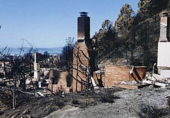 A residential area destroyed by wildfire, featuring scorched trees and remaining brick chimneys standing amidst the debris.
