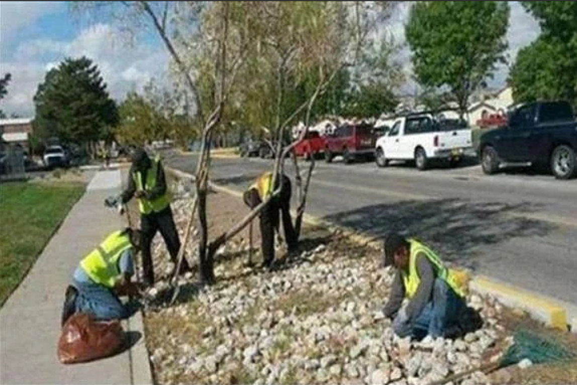 Three people in high-visibility vests work in a rocky landscape area next to a street.