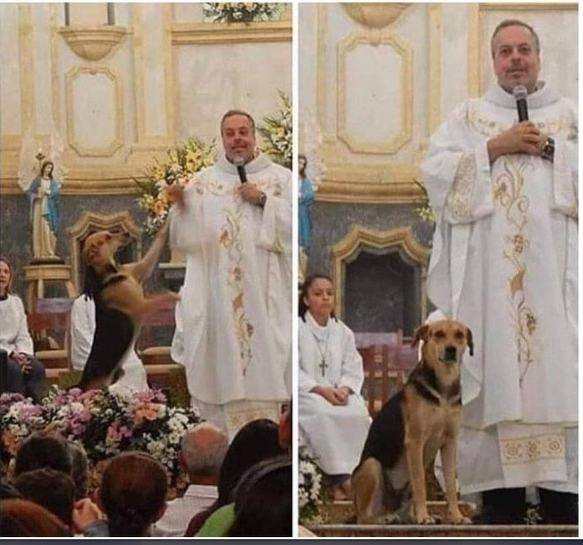 A priest stands at an altar, first gesturing toward a dog jumping up near him, and then standing calmly as the dog sits patiently by his side.