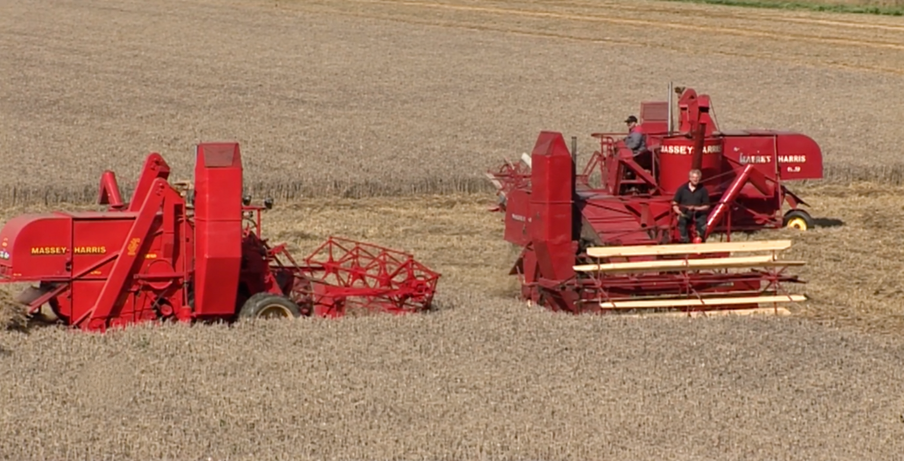 Two red Massey-Harris combines harvesting a dry field.