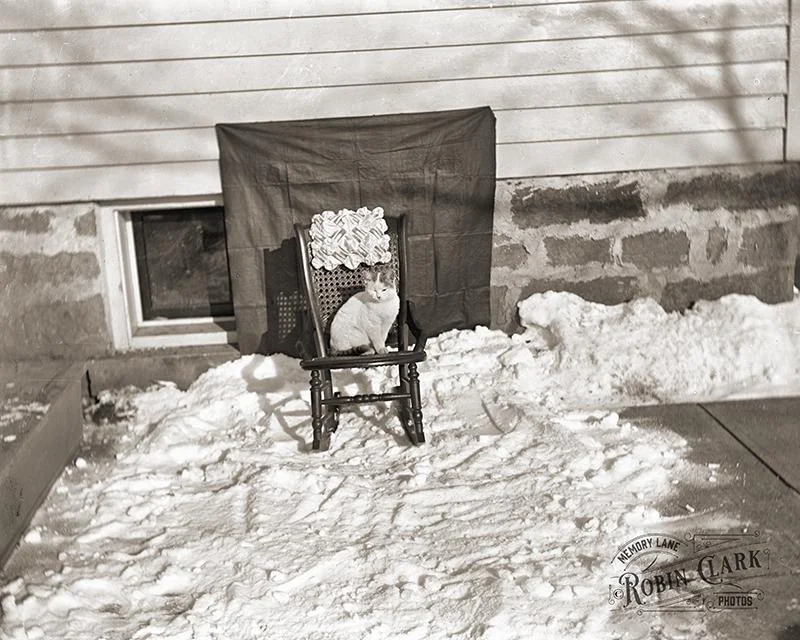 A small cat sits on a wooden rocking chair placed in the snow against the side of a house.