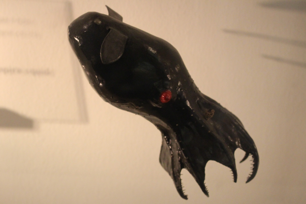 A model of a dark-colored vampire squid with a single red eye, hanging against a white wall.