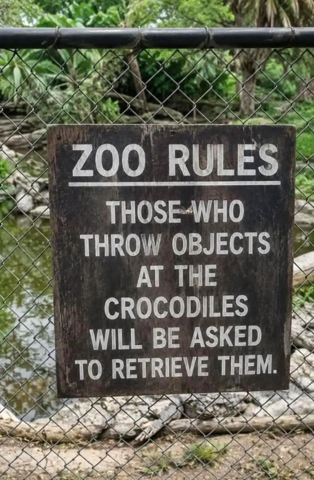 A wooden sign on a chain-link fence reads: “ZOO RULES: THOSE WHO THROW OBJECTS AT THE CROCODILES WILL BE ASKED TO RETRIEVE THEM.”