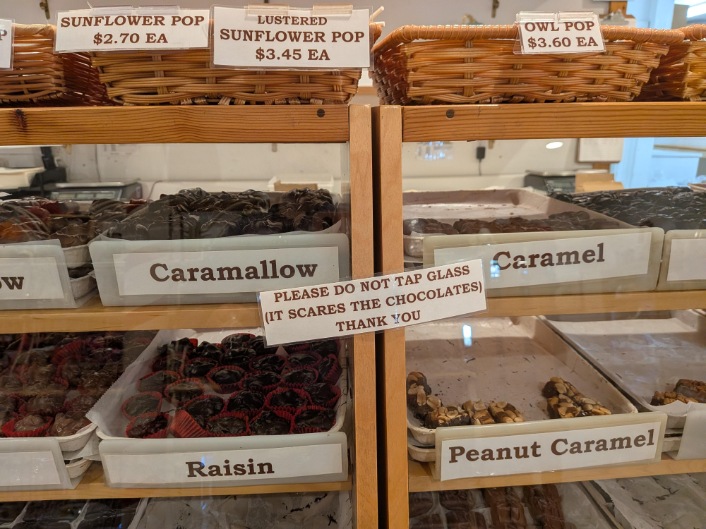 Display cases of various chocolates with labels for sunflower pops, owl pops, caramallows, caramels, raisins, and peanut caramels, including a sign asking customers not to tap on the glass.