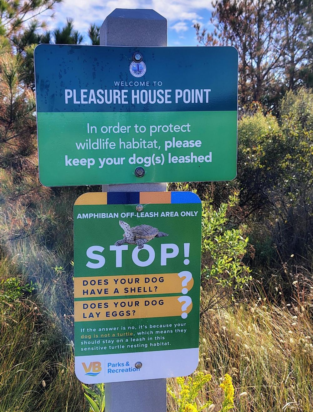 Sign at Pleasure House Point stating that dogs must be leashed to protect wildlife, with an additional sign humorously asking if your dog has a shell or lays eggs to explain why dogs must be leashed in a turtle nesting habitat.
