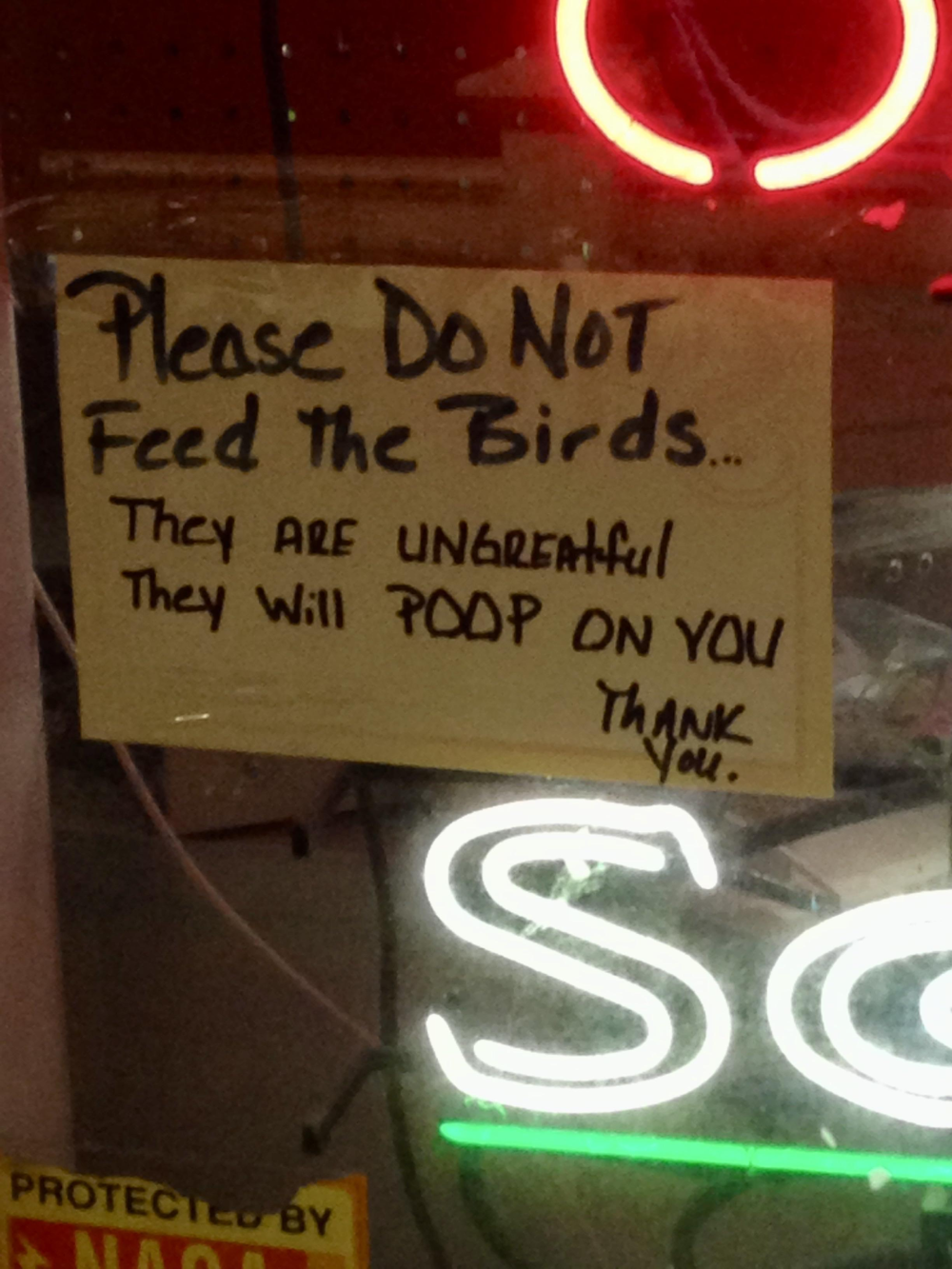 A handwritten sign taped to a window that reads, “Please Do Not Feed the Birds... They are ungrateful. They will poop on you. Thank you.”