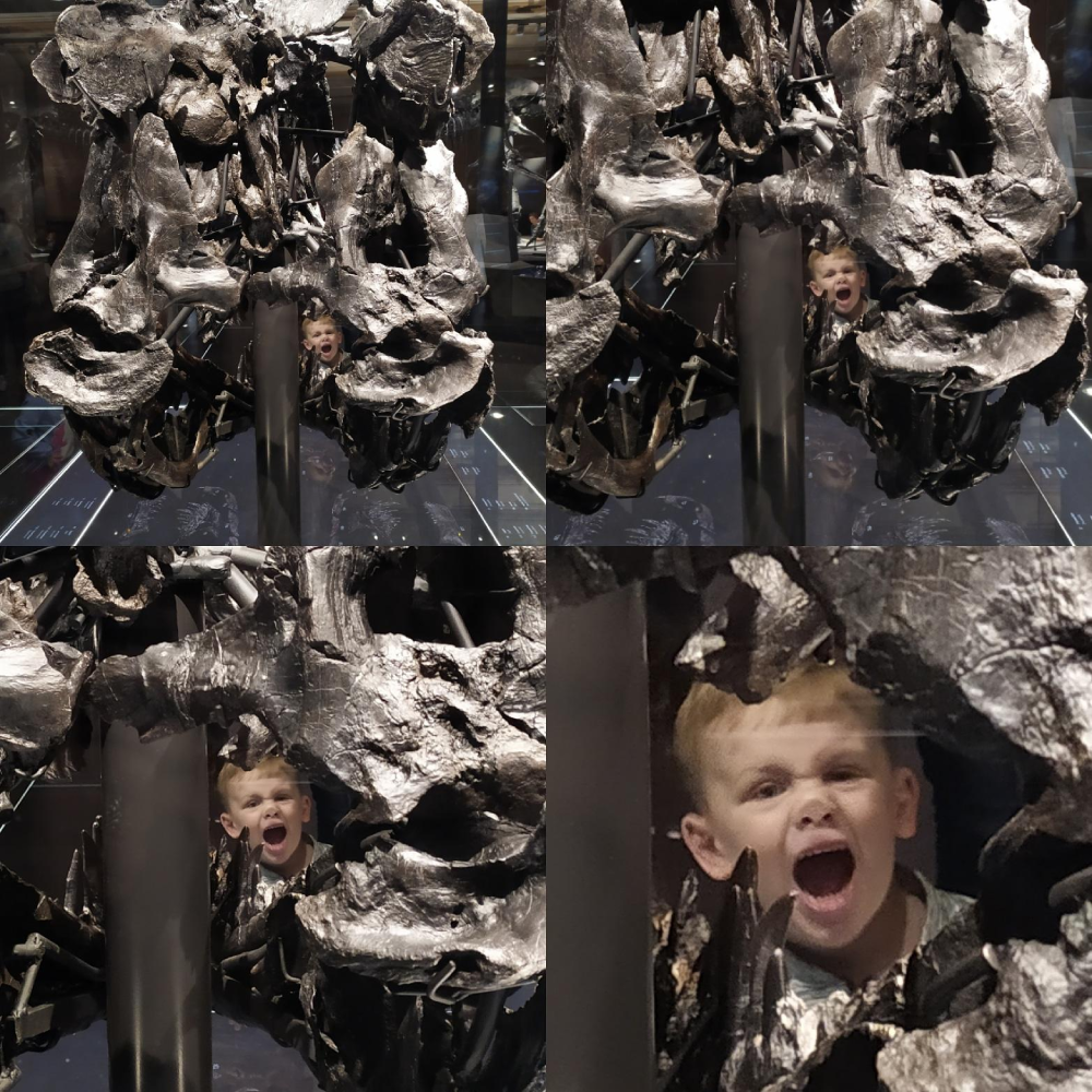 A young child peeking through the large, open jaws of a metal dinosaur skull fossil.