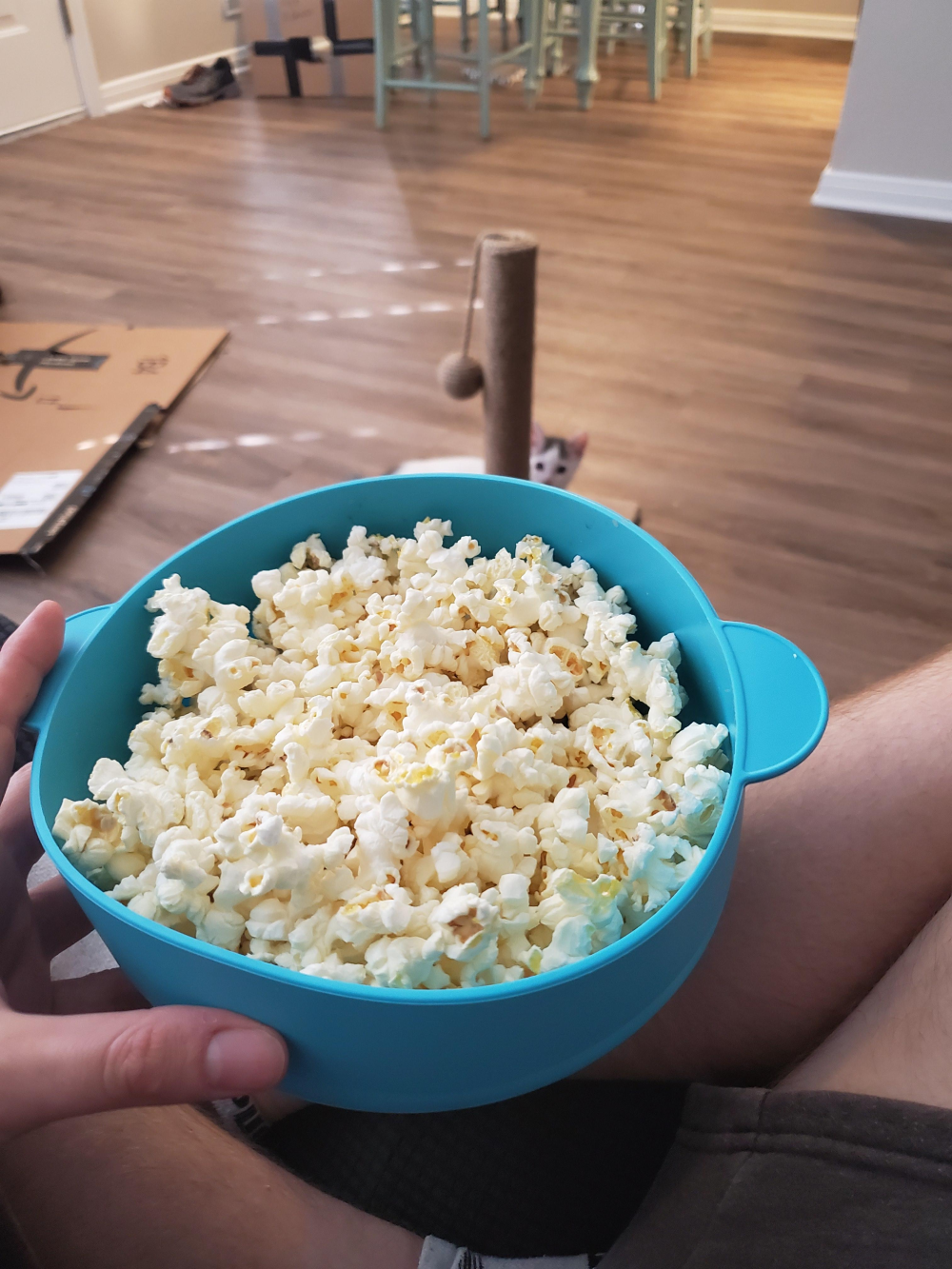 A blue bowl filled with popcorn held in someone’s lap, with a small kitten peeking out from behind a scratching post in the background.